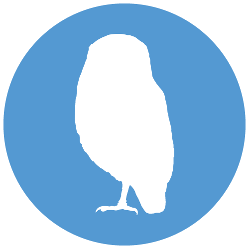 Strigidae
