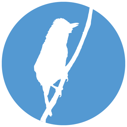 Thamnophilidae