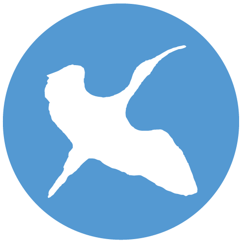 Threskiornithidae